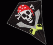 Pirate logo